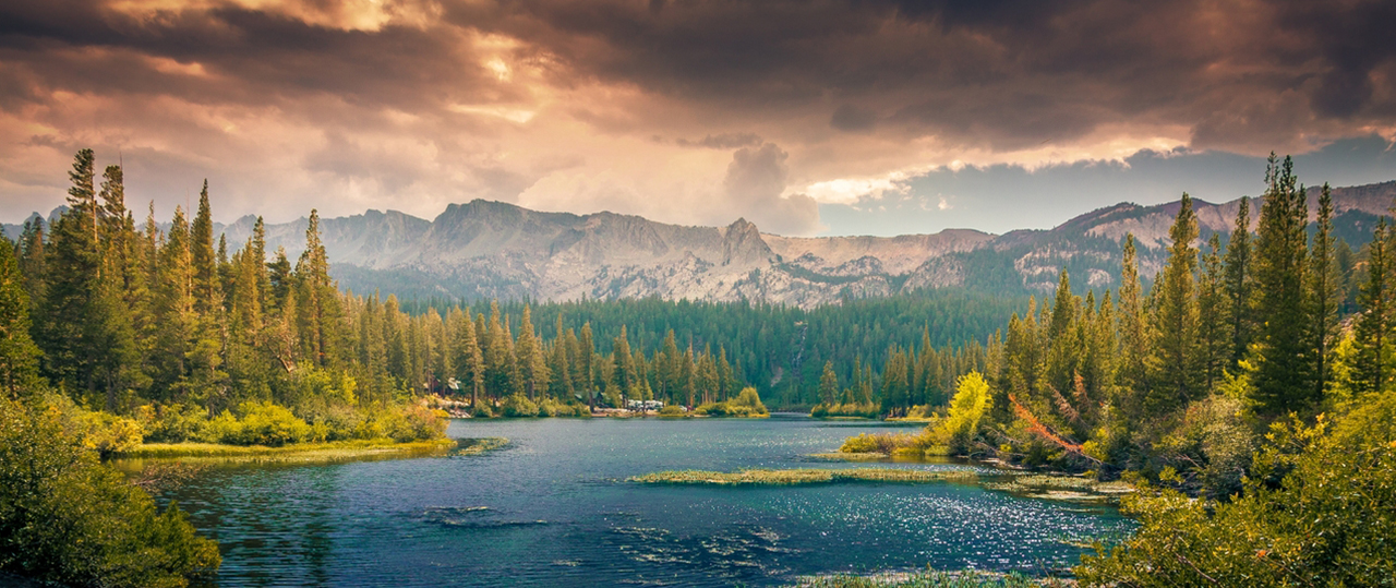 一秒发1000条手机号的软件