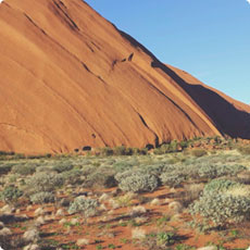 免费短信云呼轰炸机