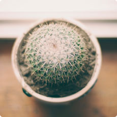 在线轰炸机网页版